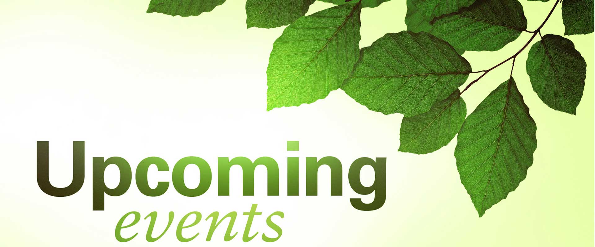 calendar image